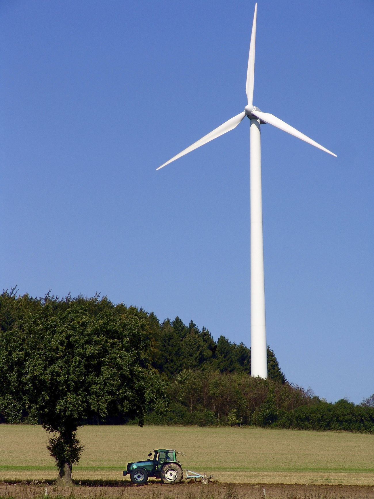 Alternative energy generator windmills